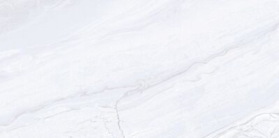 Arcadia TWU09ARC007 Плитка облицовочная 249*500